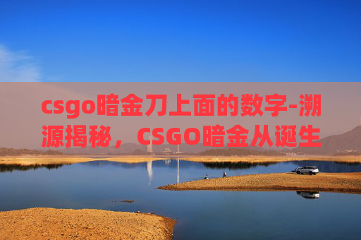 csgo暗金刀上面的数字-溯源揭秘，CSGO暗金从诞生到发展的完整脉络与价值解读