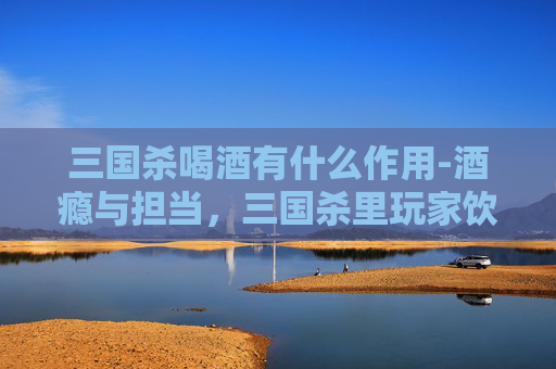 三国杀喝酒有什么作用-酒瘾与担当，三国杀里玩家饮酒狂欢背后的态度解码