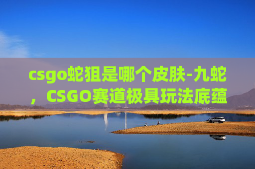csgo蛇狙是哪个皮肤-九蛇，CSGO赛道极具玩法底蕴的核心图鉴