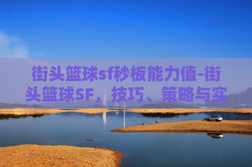 街头篮球sf秒板能力值-街头篮球SF，技巧、策略与实战体验