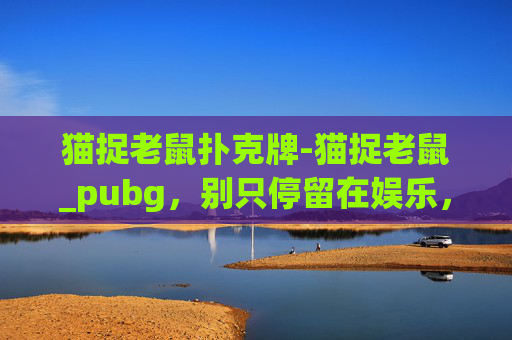 猫捉老鼠扑克牌-猫捉老鼠_pubg，别只停留在娱乐，沉浸式操作尽享游戏魅力