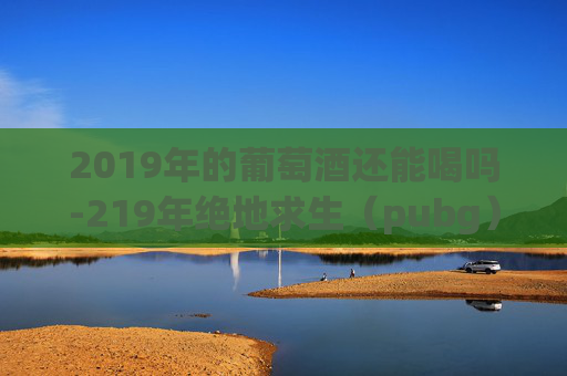 2019年的葡萄酒还能喝吗-219年绝地求生（pubg）热度解析，经典版本背后的时代回望与玩法沉淀