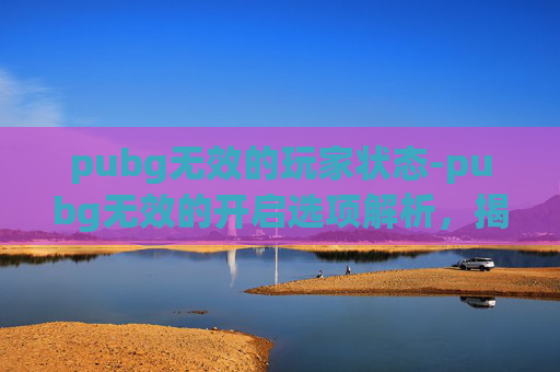 pubg无效的玩家状态-pubg无效的开启选项解析，揭秘困扰你的多重阻碍与解决办法