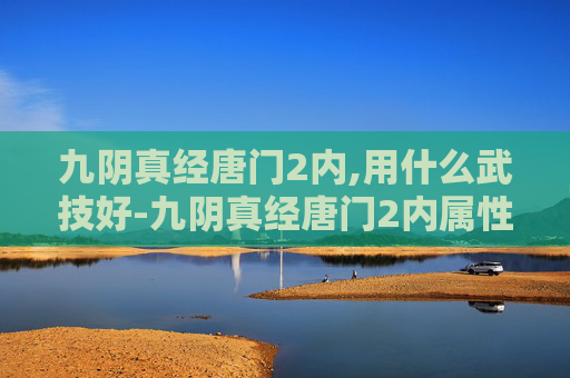 九阴真经唐门2内,用什么武技好-九阴真经唐门2内属性