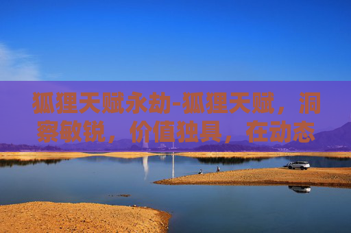 狐狸天赋永劫-狐狸天赋，洞察敏锐，价值独具，在动态市场中绽放独特光芒