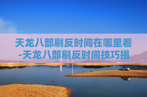 天龙八部刷反时间在哪里看-天龙八部刷反时间技巧揭秘