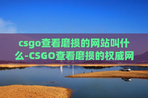 csgo查看磨损的网站叫什么-CSGO查看磨损的权威网站与实用攻略