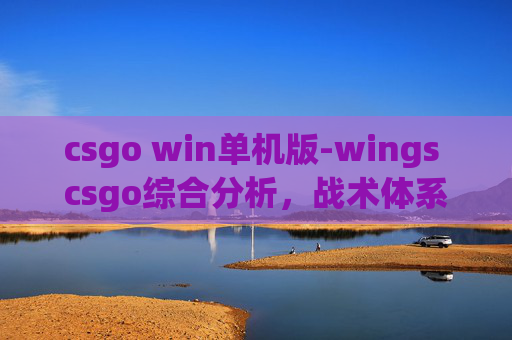 csgo win单机版-wings csgo综合分析，战术体系、版本适配与玩家机遇解析