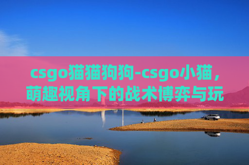 csgo猫猫狗狗-csgo小猫，萌趣视角下的战术博弈与玩家趣享