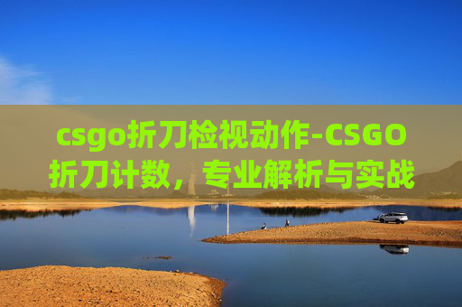 csgo折刀检视动作-CSGO折刀计数，专业解析与实战技巧全指南