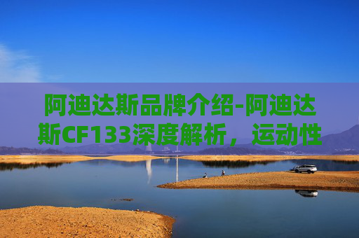 阿迪达斯品牌介绍-阿迪达斯CF133深度解析，运动性能的极致展现与市场的破局思路