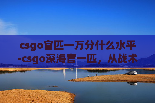 csgo官匹一万分什么水平-csgo深海官一匹，从战术细节到阵容搭配，深度解析游戏中深海场景的核心玩法与应对策略