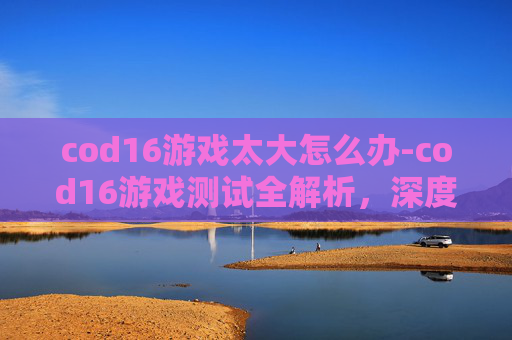 cod16游戏太大怎么办-cod16游戏测试全解析，深度体验与综合价值探讨