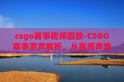csgo赛事视频回放-CSGO赛事原声解析，从赛场声音到赛事魅力深度呈现