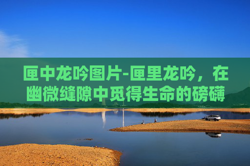 匣中龙吟图片-匣里龙吟，在幽微缝隙中觅得生命的磅礴张力