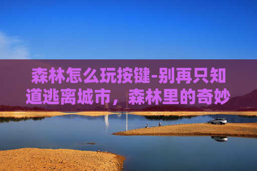 森林怎么玩按键-别再只知道逃离城市，森林里的奇妙玩法，玩透才能收获更珍贵的治愈时光