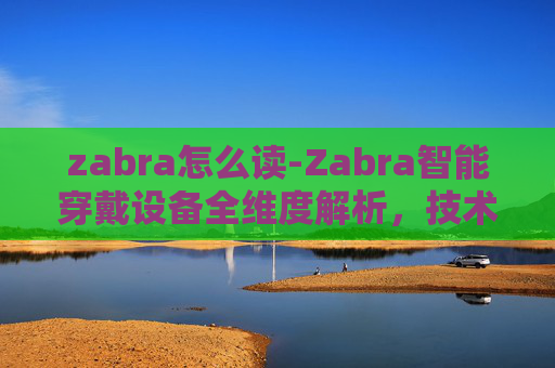 zabra怎么读-Zabra智能穿戴设备全维度解析，技术优势、适用场景与使用指南，帮你选对合适设备