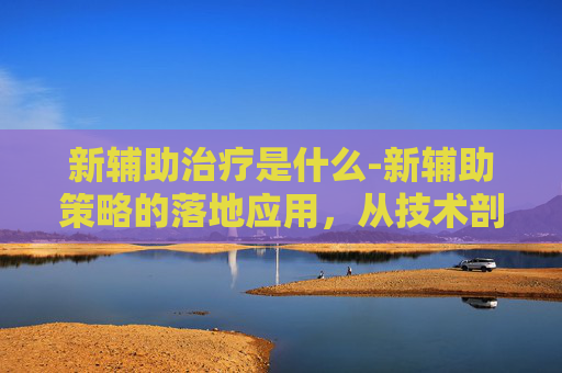 新辅助治疗是什么-新辅助策略的落地应用，从技术剖析到实操指南，全方位解析如何精准提升疗效与安全性