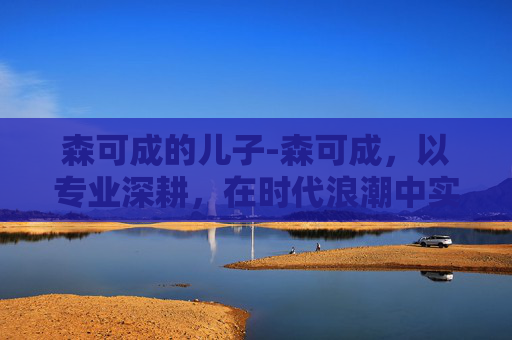 森可成的儿子-森可成,以专业深耕,在时代浪潮中实现价值跃迁 森可成的儿子-森可成,以专业深耕,在时代浪潮中实现价值跃迁