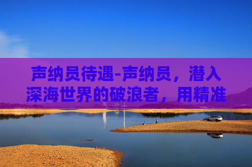 声纳员待遇-声纳员，潜入深海世界的破浪者，用精准数据探寻未知海洋的奥秘