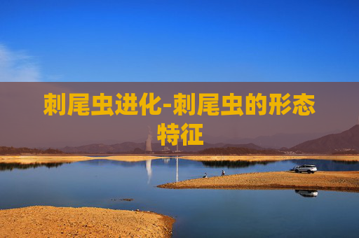 刺尾虫进化-刺尾虫的形态特征