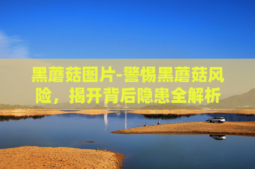 黑蘑菇图片-警惕黑蘑菇风险，揭开背后隐患全解析
