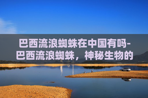 巴西流浪蜘蛛在中国有吗-巴西流浪蜘蛛，神秘生物的生态启示与生态保护风险警示