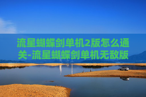 流星蝴蝶剑单机2版怎么通关-流星蝴蝶剑单机无敌版深度解析，极限玩法下的江湖畅游新选择