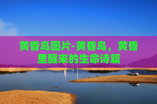黄昏鸟图片-黄昏鸟，黄昏里醒来的生命诗篇