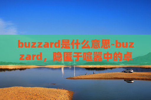 buzzard是什么意思-buzzard，隐匿于喧嚣中的卓越存在，在动荡中开辟全新可能
