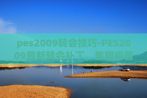 pes2009转会技巧-PES2009最新转会补丁，重塑绿茵场上的传奇