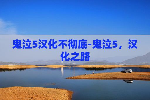 鬼泣5汉化不彻底-鬼泣5，汉化之路