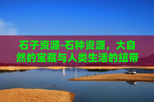 石子资源-石种资源，大自然的宝藏与人类生活的纽带