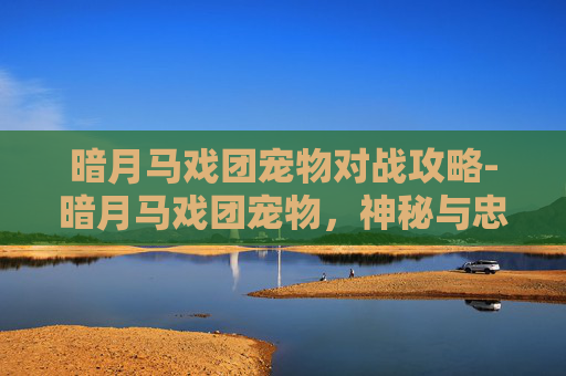 暗月马戏团宠物对战攻略-暗月马戏团宠物，神秘与忠诚的完美结合