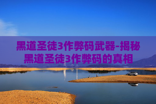 黑道圣徒3作弊码武器-揭秘黑道圣徒3作弊码的真相