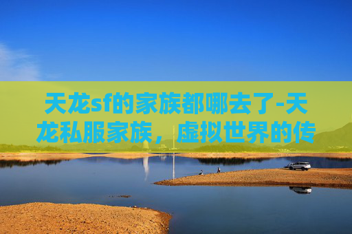 天龙sf的家族都哪去了-天龙私服家族，虚拟世界的传奇与挑战