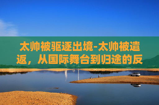 太帅被驱逐出境-太帅被遣返，从国际舞台到归途的反思