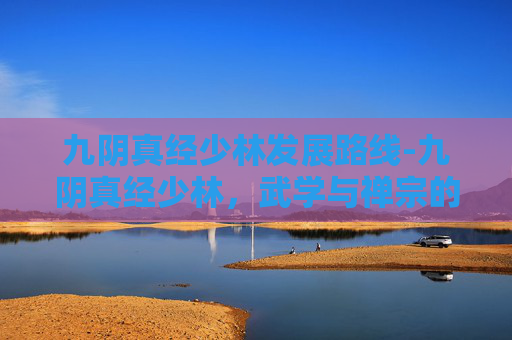 九阴真经少林发展路线-九阴真经少林，武学与禅宗的完美融合