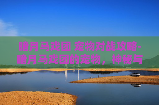 暗月马戏团 宠物对战攻略-暗月马戏团的宠物，神秘与忠诚的完美结合