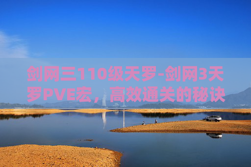 剑网三110级天罗-剑网3天罗PVE宏，高效通关的秘诀