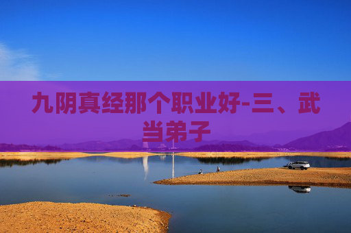 九阴真经那个职业好-三、武当弟子