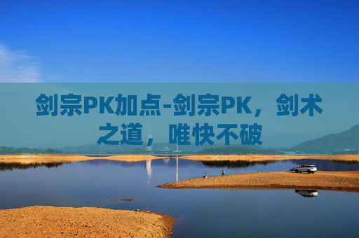 剑宗PK加点-剑宗PK，剑术之道，唯快不破