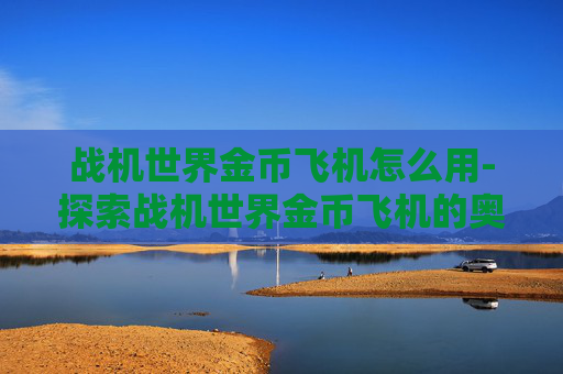 战机世界金币飞机怎么用-探索战机世界金币飞机的奥秘