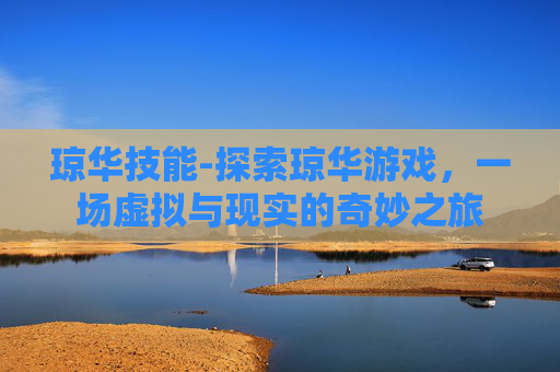 琼华技能-探索琼华游戏，一场虚拟与现实的奇妙之旅