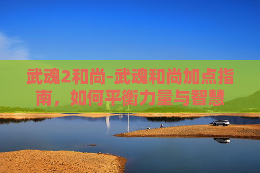 武魂2和尚-武魂和尚加点指南，如何平衡力量与智慧