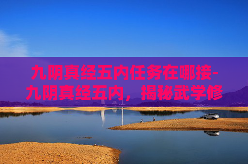 九阴真经五内任务在哪接-九阴真经五内，揭秘武学修炼的深层奥秘
