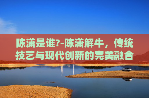 陈潇是谁?-陈潇解牛，传统技艺与现代创新的完美融合