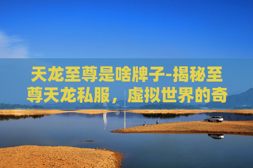 天龙至尊是啥牌子-揭秘至尊天龙私服,虚拟世界的奇幻之旅 天龙至尊是啥牌子-揭秘至尊天龙私服,虚拟世界的奇幻之旅