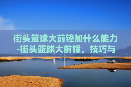 街头篮球大前锋加什么能力-街头篮球大前锋，技巧与策略的完美结合