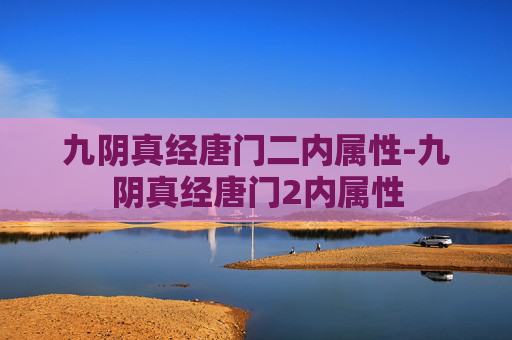 九阴真经唐门二内属性-九阴真经唐门2内属性
